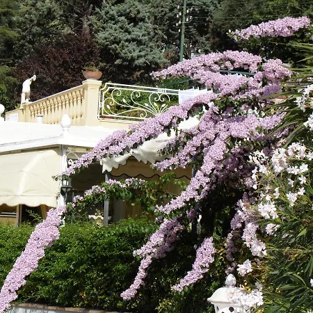 Mimosa Resort