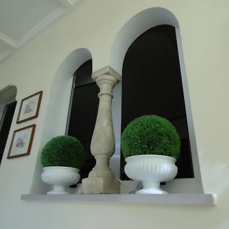 Mimosa Θέρετρο Ανακάπρι