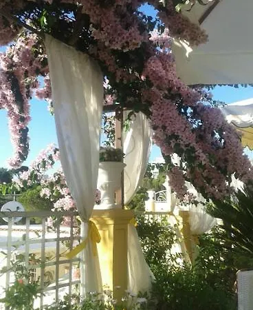 Mimosa 阿纳卡普里