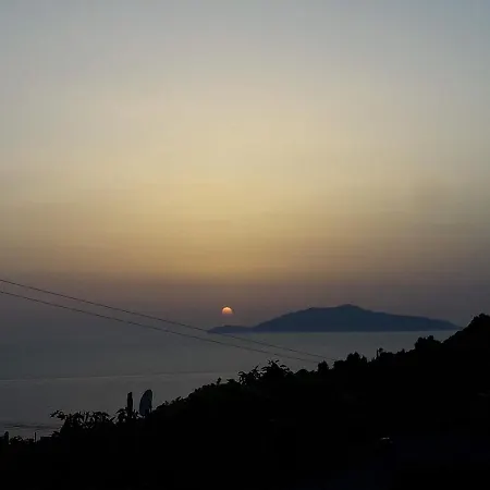 Mimosa Θέρετρο
